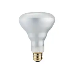 Ledvance - Foco incandescente Br30 75W E26