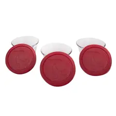 Pyr O Rey - Juego 3 flaneras con tapa Pyro