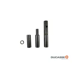 Ducasse - Par de bis pomel par 1/2 x 80