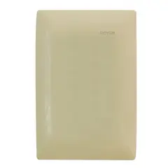 Royer - Placa Ciega Champagne