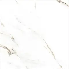 Tendenzza - Piso Porcelanato 60x60 cm Carrara Bruno