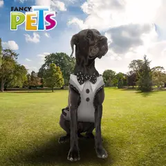 Fancy Pets - Arnés Modelaje Corbatín Extra Extra Grande