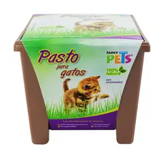 Fancy Pets - Pasto para Gatos