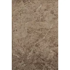 Porcelanite - Muro Cerámico Asturias Café Claro 20 x 60 cm Brillante 1.59 m2