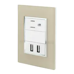 Sanelec - Placa Contacto Usb y Contacto Champ