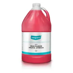 Vanguard - Limpiador profesional mutisuperficies frutas cítricas 4L