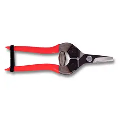 Chiltepec - Tijera para poda 310