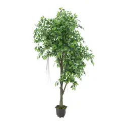 Just Home Collection - Planta Artificial Mini Ficus 190 cm