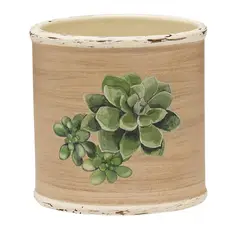 Southern Patio - Maceta Cerámica 10 cm Suculenta