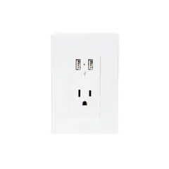 Igoto - Placa Armada con Contacto y 2 Tomas USB, Blanco Lugano