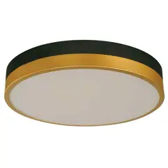 Ikelite - Lámpara de techo LED Kobe de 1 luz de 24W Multicolor