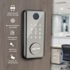 Dexter - Cerrojo Smart Sencillo Ds01, Plateado