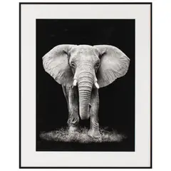 Just Home Collection - Cuadro Decorativo Elefante 40x50 cm