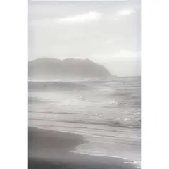 Just Home Collection - Canvas Beach Palmeras 40x60