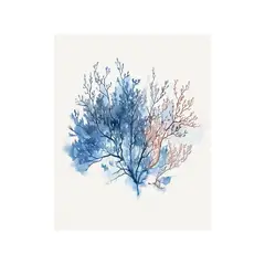 Just Home Collection - Cuadro decorativo Beach Coral 40x50 cm