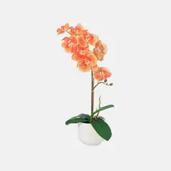 Just Home Collection - SB Planta Art Orquidea Naranja