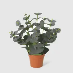Just Home Collection - SB Planta Art Eucalipto Oscuro
