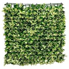 Rosedal - Follaje De Hoja Blanca 50X50