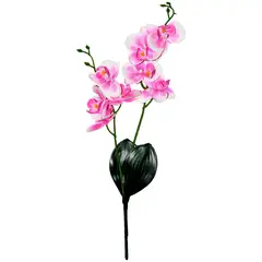 Rosedal - Orquídea Cn Hoja Textura Natural Bco/Mor