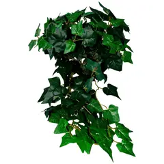 Rosedal - Colgante English Ivy/Hiedra