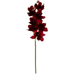 Rosedal - Vara De Orquídea Cimbidium Tex Nat Vino